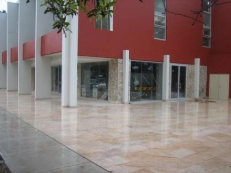 31 Cowell Street, Gladesville NSW 2111