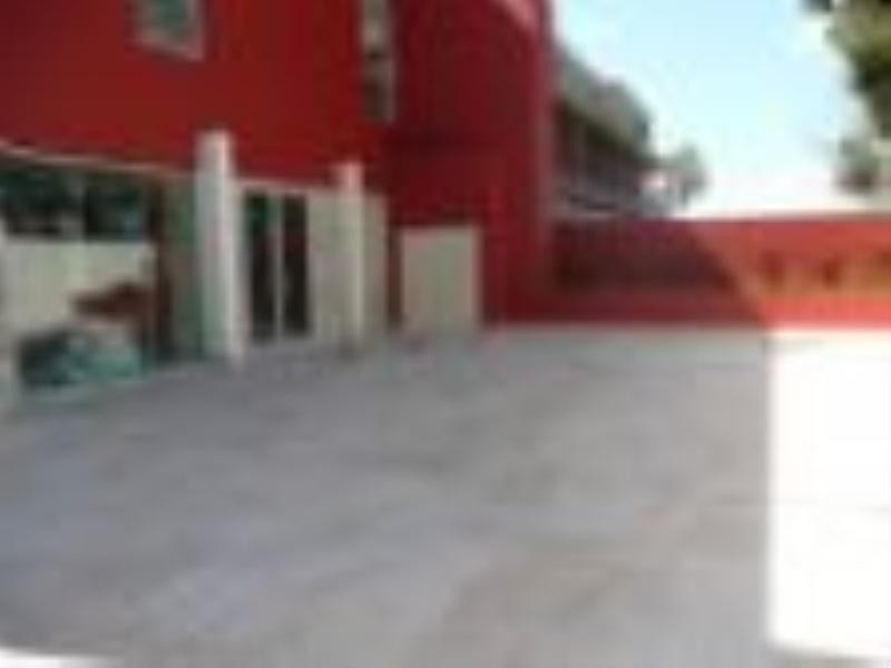 31 Cowell Street, Gladesville NSW 2111