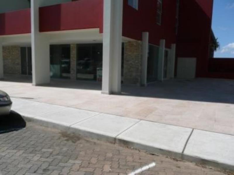 31 Cowell Street, Gladesville NSW 2111