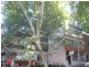 S3/74 – 84 Foveaux Street, Surry Hills NSW 2010