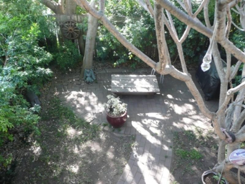 31 MOODIE Street, Rozelle NSW 2039