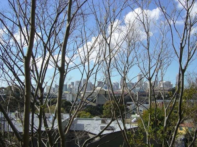 10/42 LOMBARD Street, Glebe NSW 2037