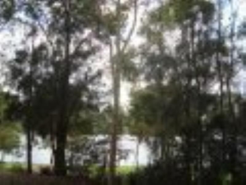 19/16 LEICHHARDT Street, Glebe NSW 2037