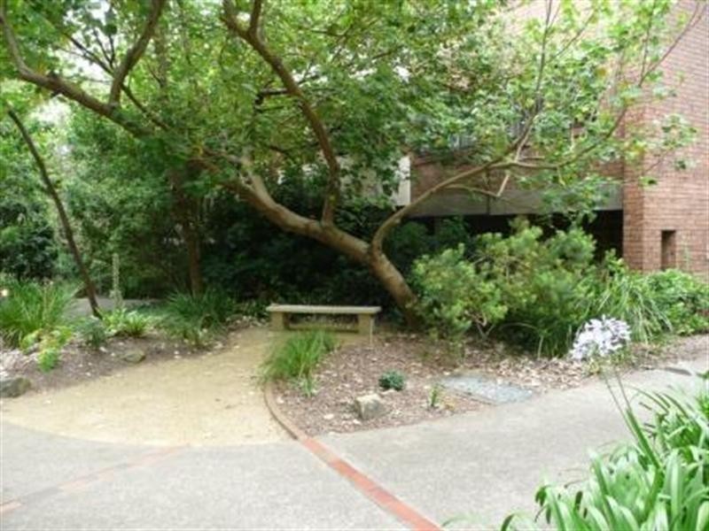 55/213-215 BRIDGE Road, Glebe NSW 2037