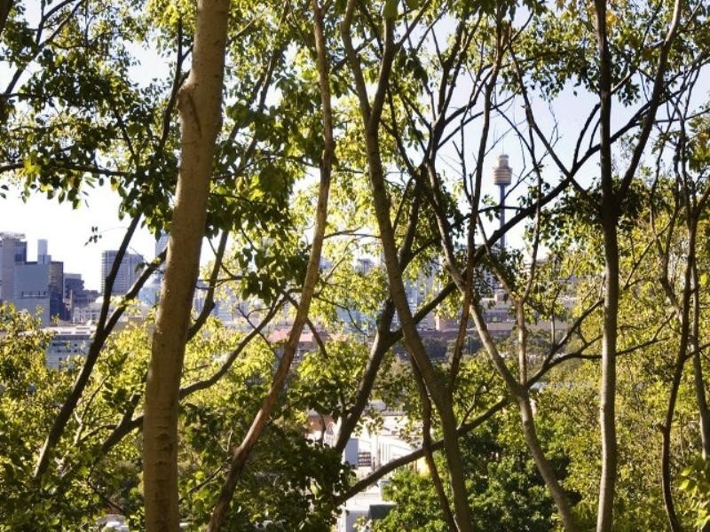 10/42 Lombard Street, Glebe NSW 2037