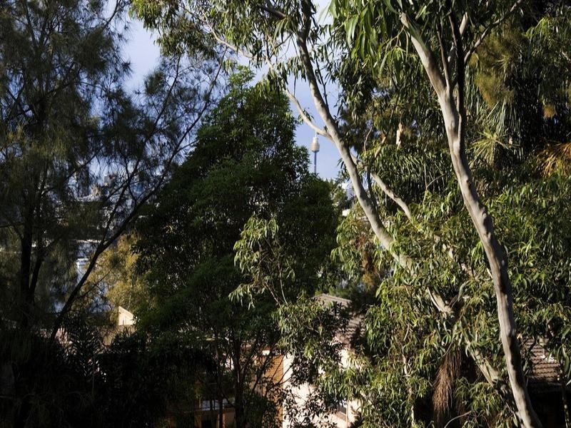 17/12 Leichhardt Street, Glebe NSW 2037