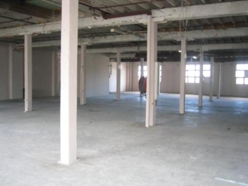 GF3/140 Cleveland Street, Chippendale NSW 2008