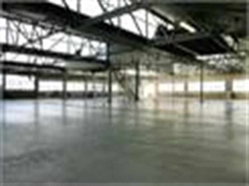 46 Birmingham Street, Alexandria NSW 2015