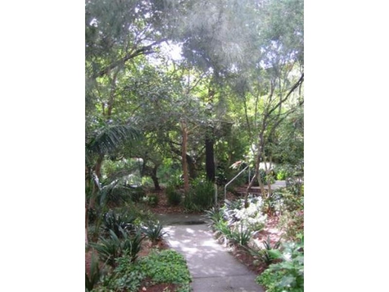 32/213-215 BRIDGE Road, Glebe NSW 2037