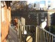 42/12 wylde Street, Potts Point NSW 2011