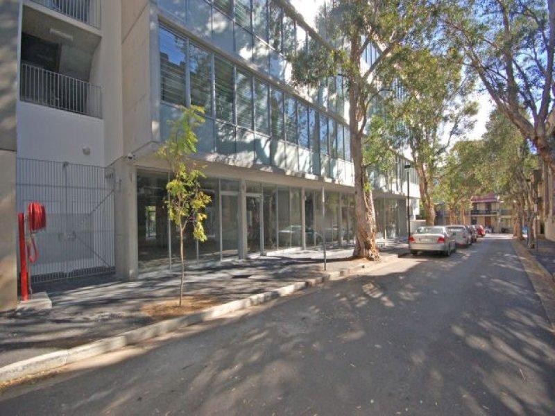 38 Waterloo Street, Surry Hills NSW 2010