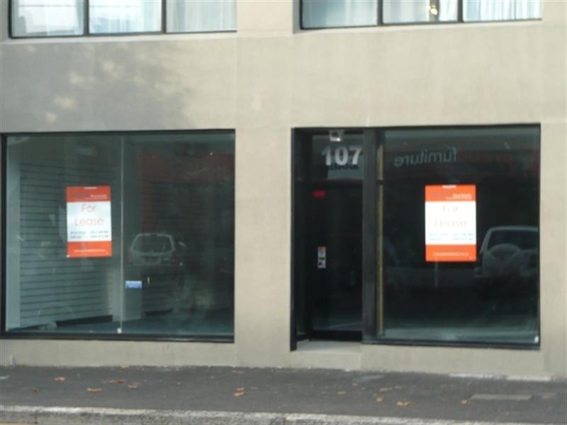 107* Botany Road, Alexandria NSW 2015