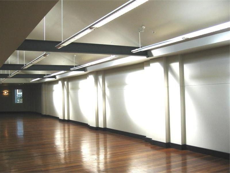 4/69 Regent Street, Chippendale NSW 2008