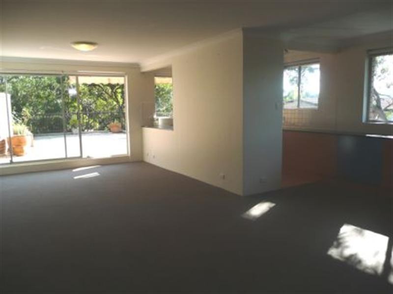 17/29 Leichhardt Street, Glebe NSW 2037