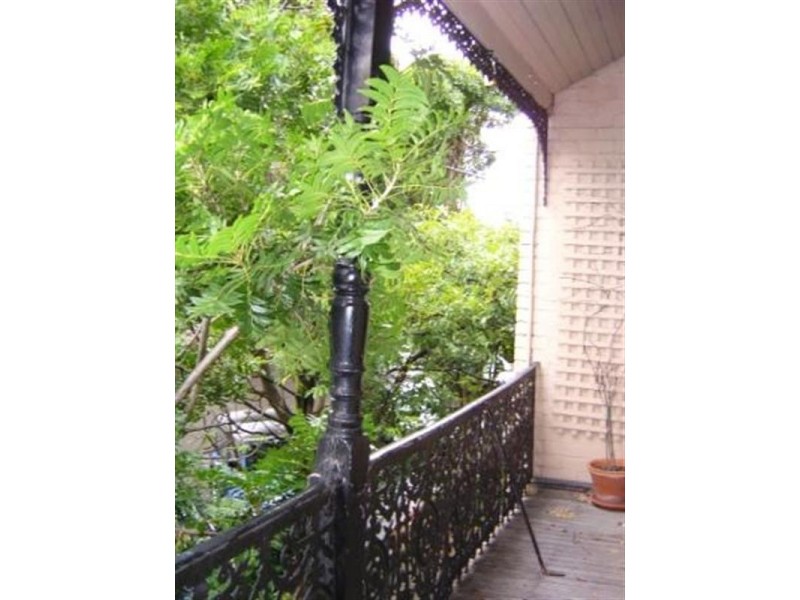 21 Abion Avenue, Paddington NSW 2021