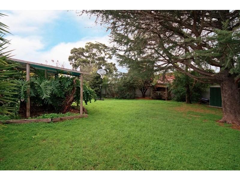 3 Winchester Avenue, Hove SA 5048