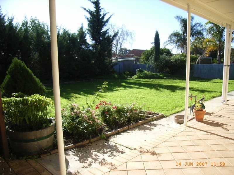 25 Hawker Avenue, Plympton Park SA 5038