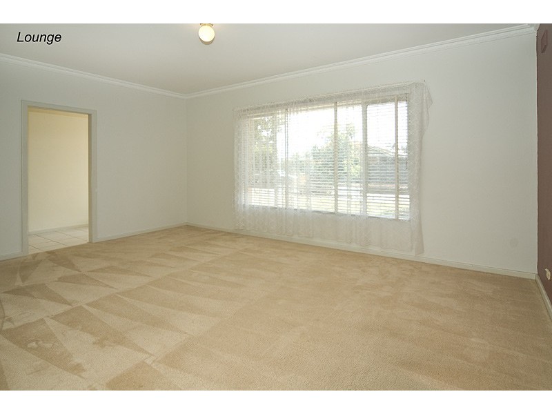 46 Allison Street, Ascot Park SA 5043