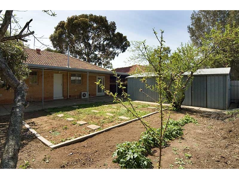 46 Allison Street, Ascot Park SA 5043