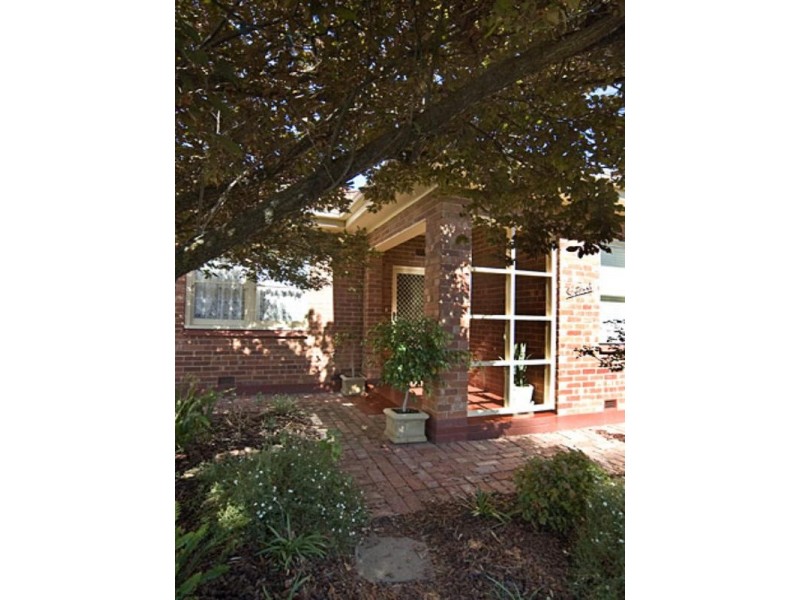 16 Swinburne Avenue, Plympton Park SA 5038