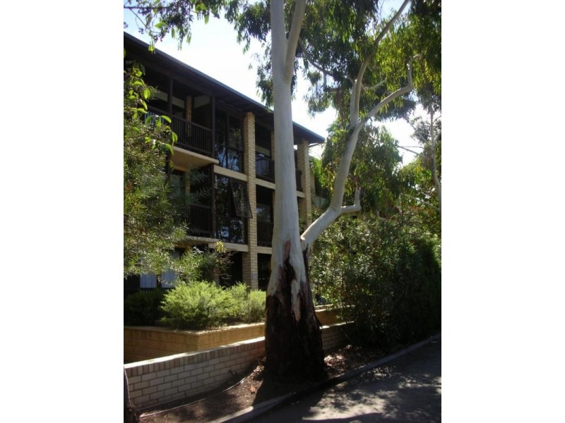 15/6 Munro Street, Glenelg North SA 5045