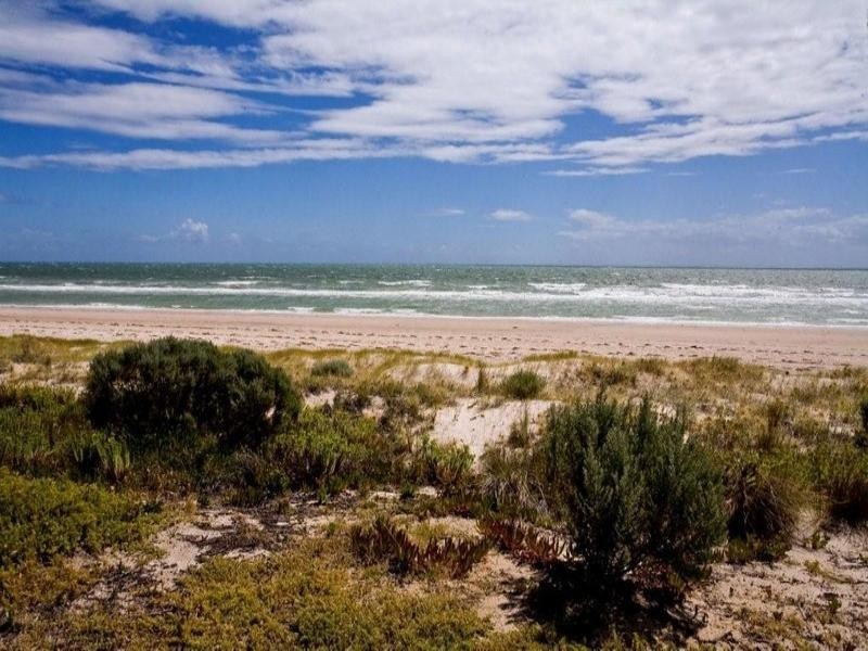 5/417 Seaview Road, Henley Beach SA 5022