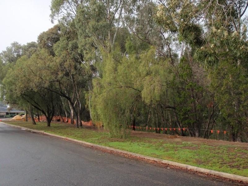 6 Belgrave Avenue, Flinders Park SA 5025