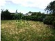 21 Daly Street, South Plympton SA 5038