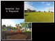 140 Galway Avenue, Broadview SA 5083
