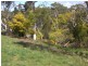 22 Rosewarne Crescent, Bridgewater SA 5155