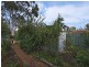 48 Devon Street South, Goodwood SA 5034