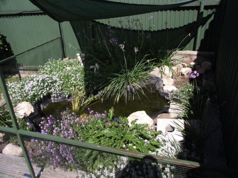 6 Nellie Street, Parafield Gardens SA 5107