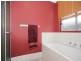 16 Polvere Avenue, Newton SA 5074