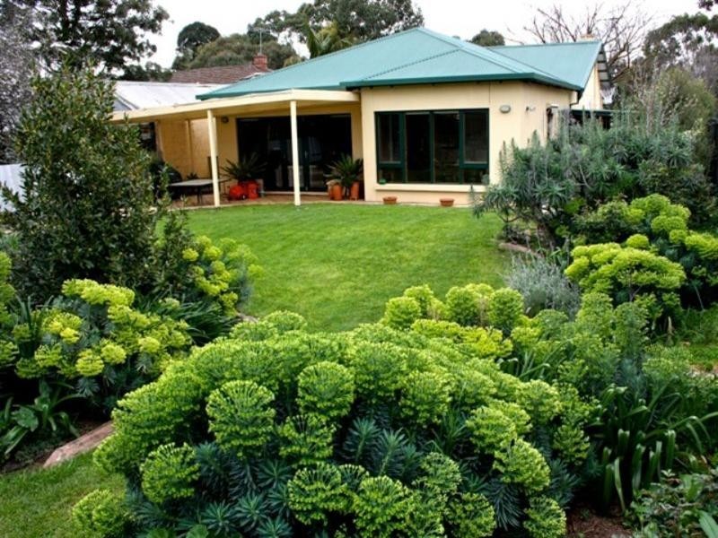 43 Woodfield Avenue, Fullarton SA 5063