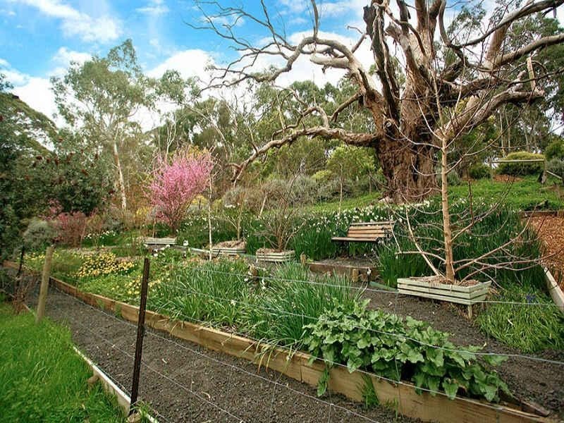 189 Ackland Hill Road, Coromandel East SA 5157