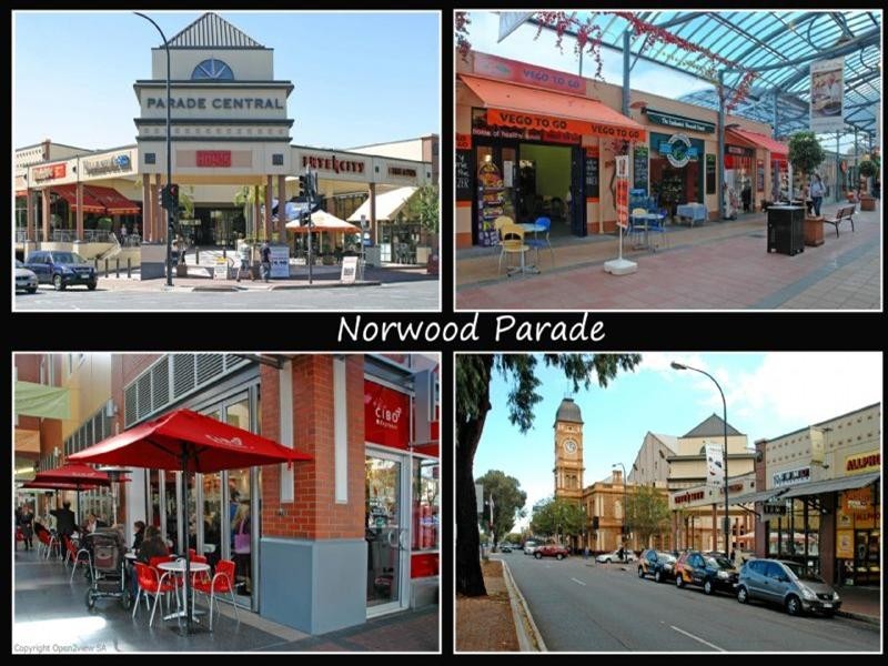 2/17 Nora Street, Maylands SA 5069