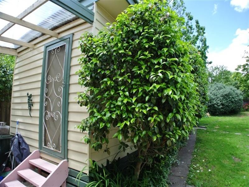 34 Vannam Drive, Ashwood VIC 3147