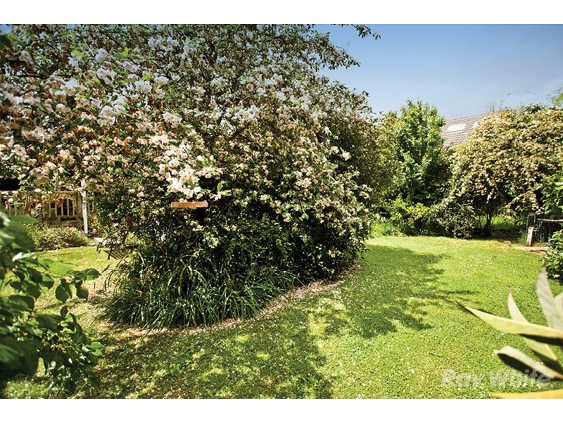 46 Larch Crescent, Mount Waverley VIC 3149