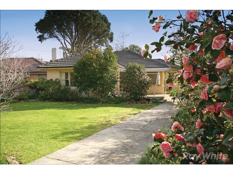 17 Joy Street, Mount Waverley VIC 3149
