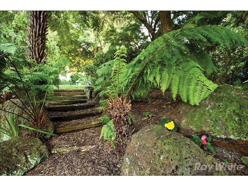 49 Lum Road, Wheelers Hill VIC 3150