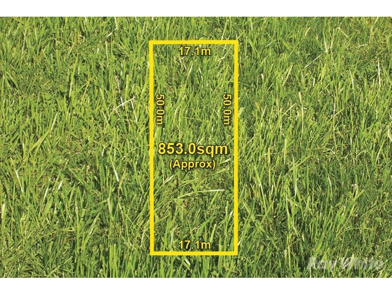 19 Farleigh Avenue, Burwood VIC 3125