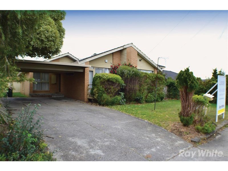 19 Winston Street, Glen Waverley VIC 3150