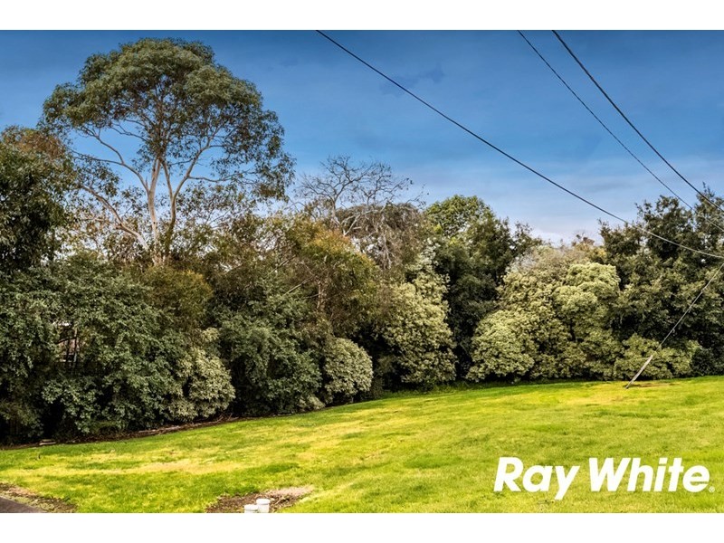 17/113 Burwood Highway, Burwood East VIC 3151