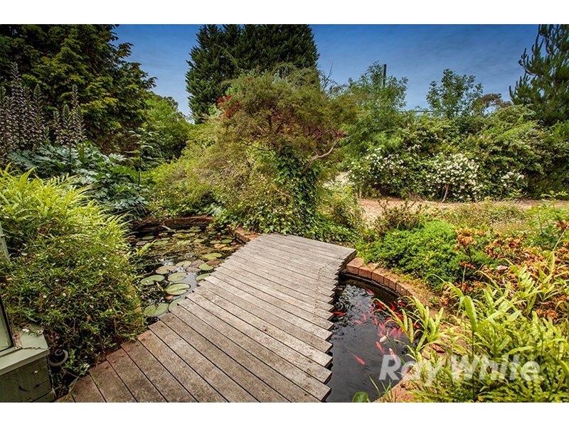 7 Pach Road, Wantirna South VIC 3152