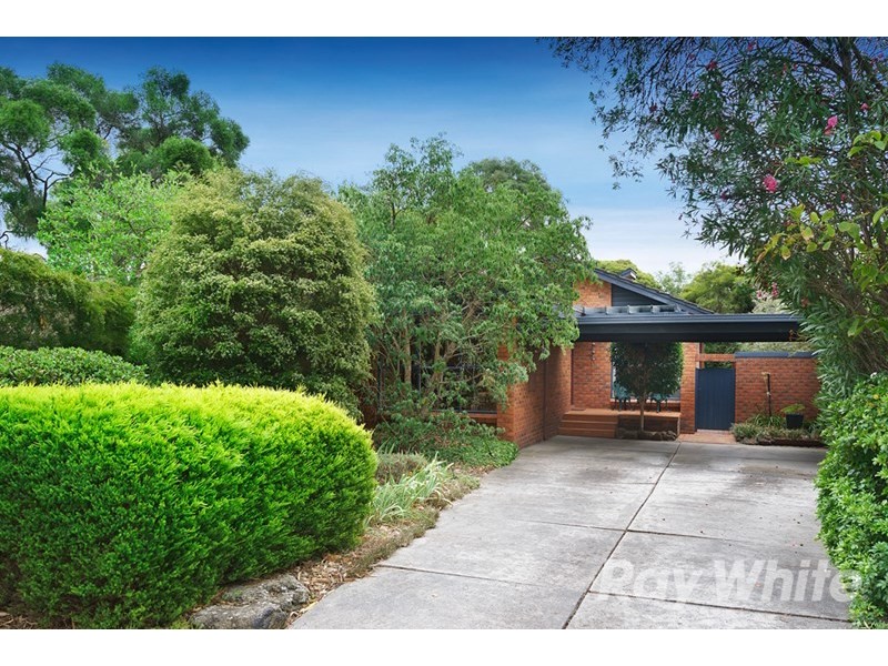 43 York Street, Glen Waverley VIC 3150