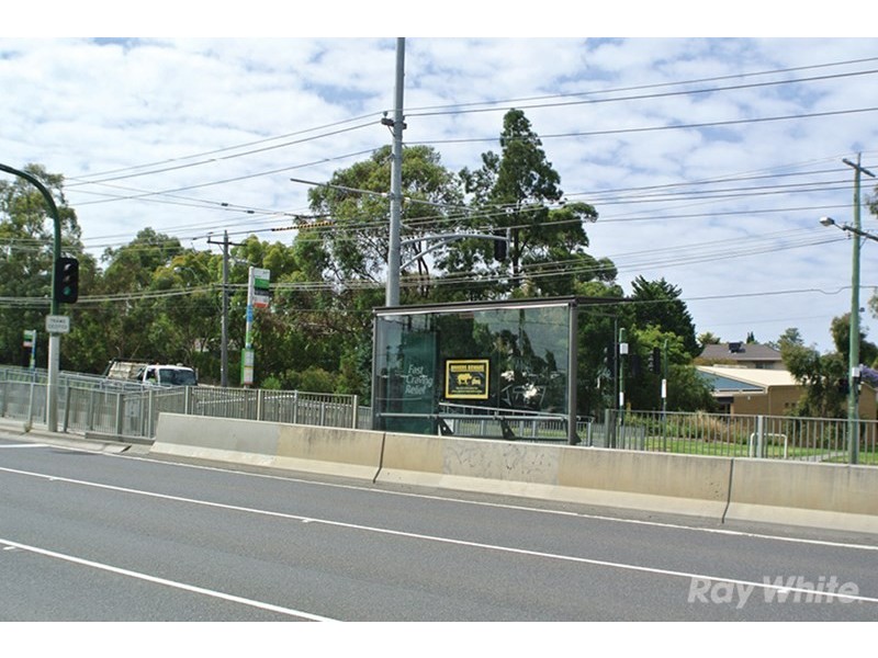 7/113 Burwood Highway, Burwood East VIC 3151