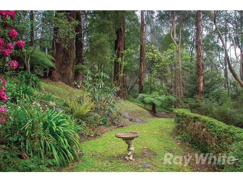 21 Gleghorn Road, Kallista VIC 3791