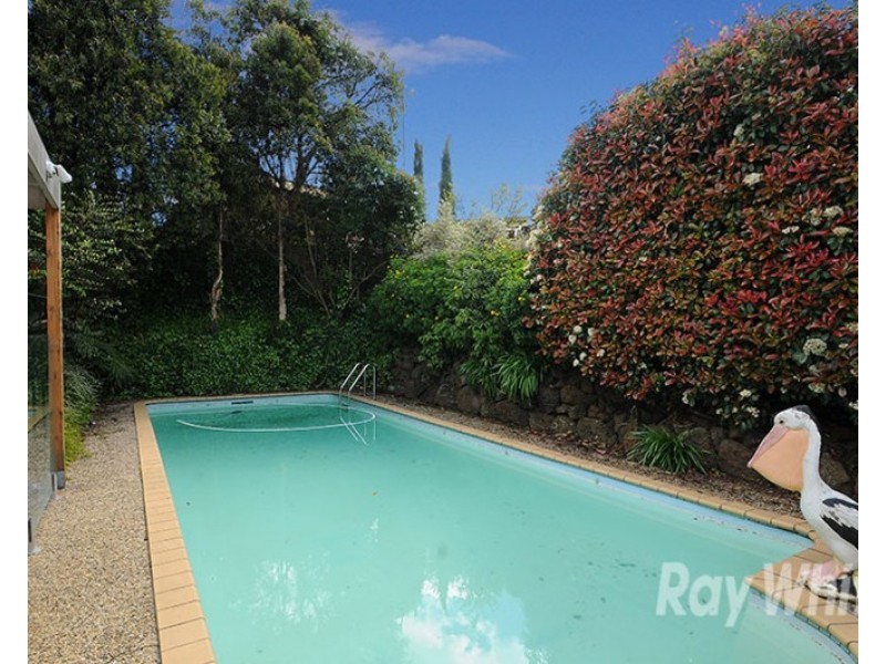 8 Charlnet Drive, Vermont South VIC 3133