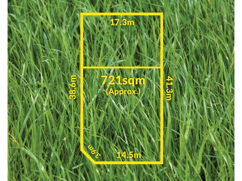 39 Larch Crescent, Mount Waverley VIC 3149