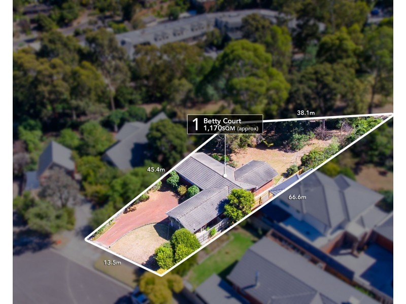 1 Betty Court, Mount Waverley VIC 3149